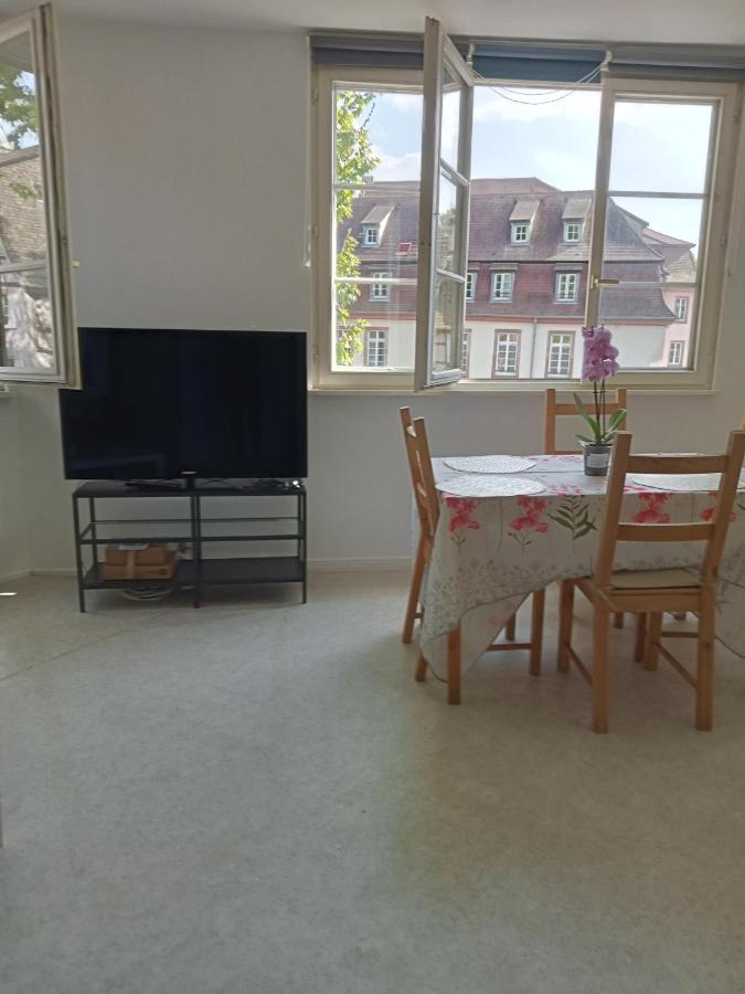 Au Coeur De La Petite France Apartment Strasbourg Bagian luar foto