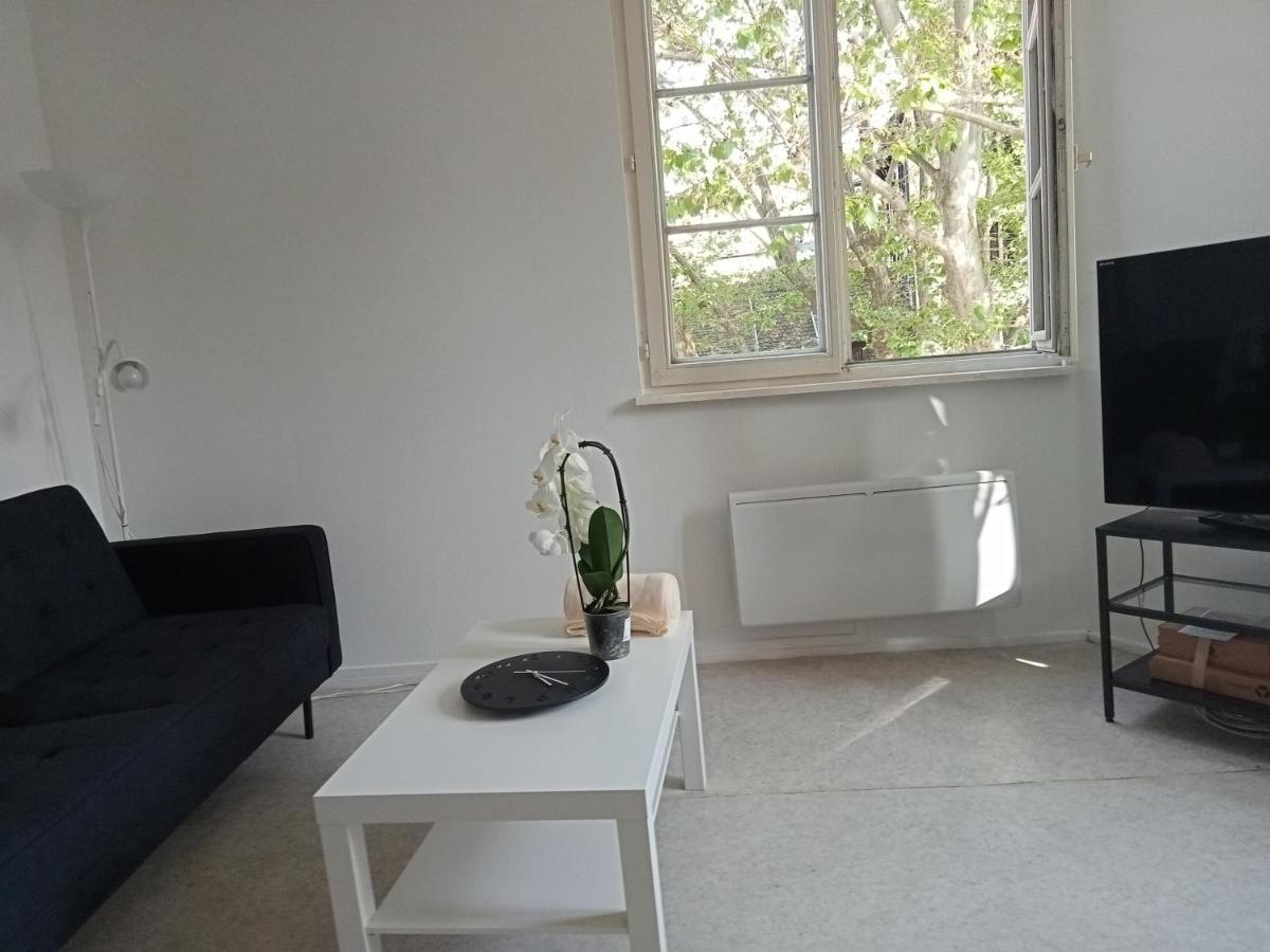 Au Coeur De La Petite France Apartment Strasbourg Bagian luar foto