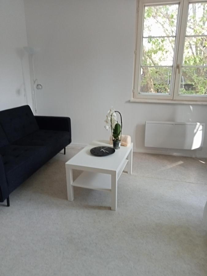 Au Coeur De La Petite France Apartment Strasbourg Bagian luar foto